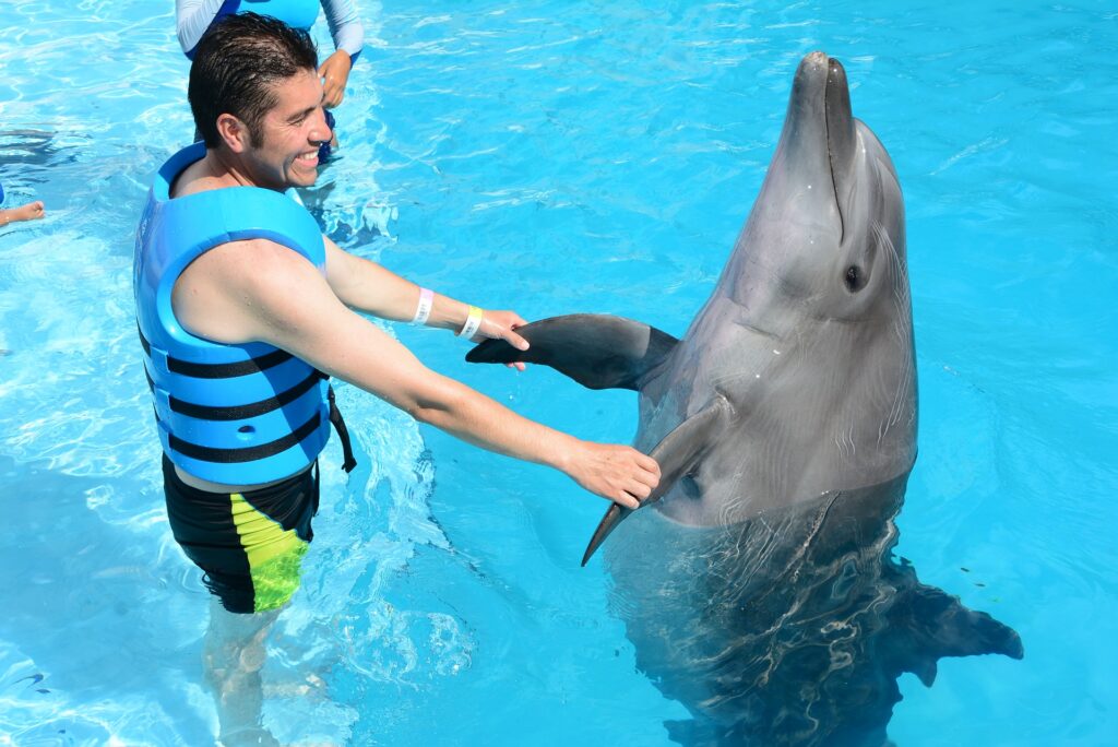 Man dancing with dolphin